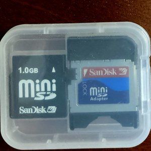 SanDisk Mini SD Card 1GB for Smartphones & Tablets